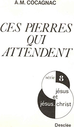 Ces pierres qui attendent: pour un dialogue entre l'hindouisme et le christianisme